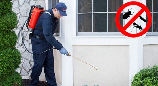 Sivrice Dezenfeksiyon böcek ilaçlama ve haşere kontrolü — ilaclama-tr.com